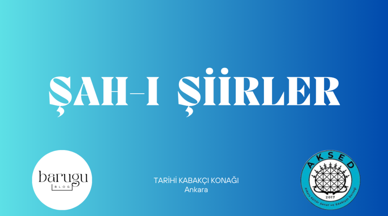 3. Kitap ve Sanat Şöleni - Ankara (1)