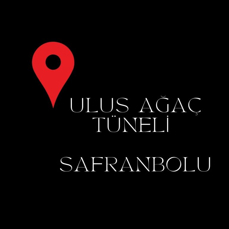 Ulus Ağaç Tüneli – Safranbolu | berroshsconcept