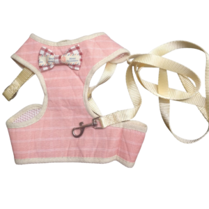 Kedi Abiye Takım Tasma