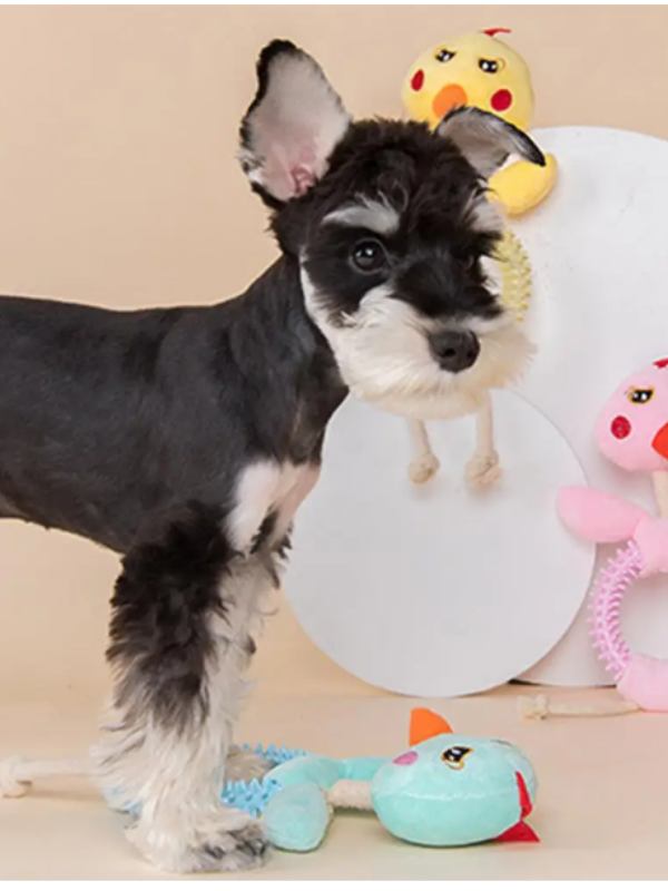 Lezzetli Tavuk Tokluk Çılgınlığı: Güvenli Çiğneme ve Peluş Oyun Bir Arada! - Görsel 2