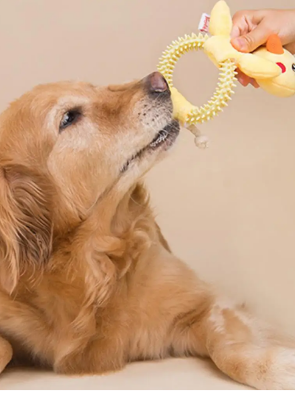 Lezzetli Tavuk Tokluk Çılgınlığı: Güvenli Çiğneme ve Peluş Oyun Bir Arada! - Görsel 3