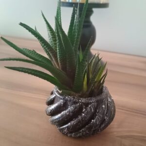 Mermer Desen Sukulent Saksı